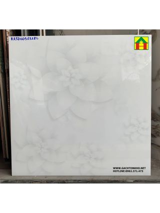 Đá bóng kiếng 3D cao cấp giá rẻ 60x60