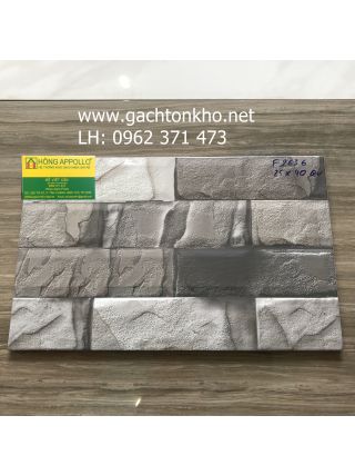 Gạch 3D ốp tường 25x40 tồn kho F2636
