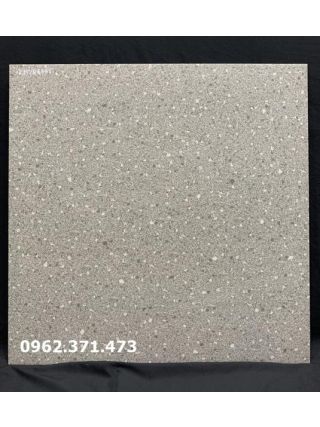 Gạch đồng chất bóng mờ 60x60