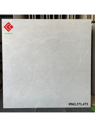 Gạch 80x80 viglacera mờ 8801M