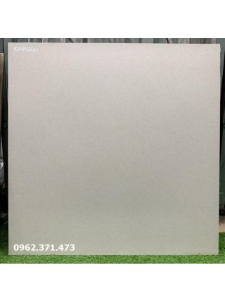 Gạch men khô lát nền 60x60 6641
