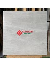 Gạch mờ mịn lát nền 60x60 Viglacera màu xám 201