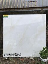 Gạch bóng kiếng 80x80 CATALAN mẫu mới 8053