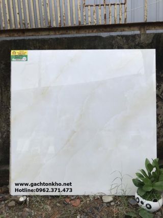 Gạch bóng kiếng 80x80 CATALAN mẫu mới 8053