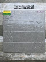 Gạch 40x40 lát nhà xe giá rẻ GS2509