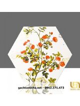 Gạch lục giác giá rẻ Tân Bình