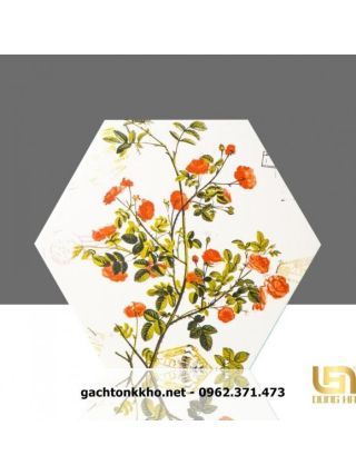 Gạch lục giác giá rẻ Tân Bình