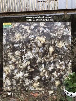 Gạch 80x80 Catalan bóng kiếng 8024