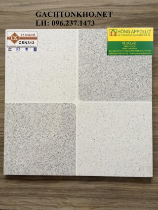 GẠCH NHÀ TẮM 30x30 CSN313
