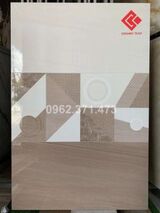 Ốp tường 30x60 viglacera G3610