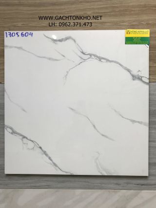 Gạch Lát Nền 60x60 Bóng Kiếng Toàn Phần GTK1705604