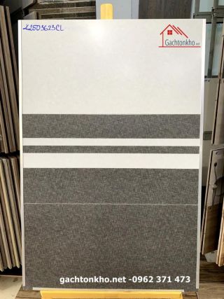 Gạch ốp tường nhà tắm 30x60 men matt mới