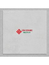 Gạch 60x60 màu xám nhạt mờ 10yp