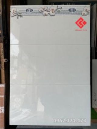 Dán tường 30x60 Viglacera đẹp