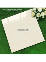 Gạch lát nhà ở 60x60 bóng kiếng