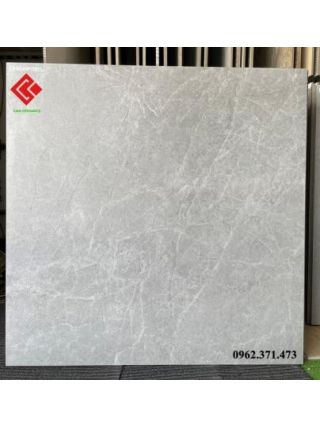 Gạch 80x80 viglacera 8802GM