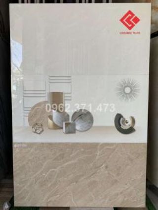 Ốp tường 30x60 viglacera 66001