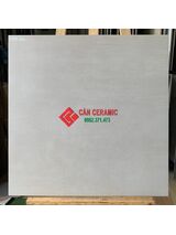 Gạch lát nền nhám 60x60 Viglacera màu kem sáng 104