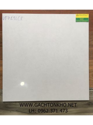 Gạch Lát Nền 60x60 đá bóng kiếng VITTO tồn kho giá rẻ VT719