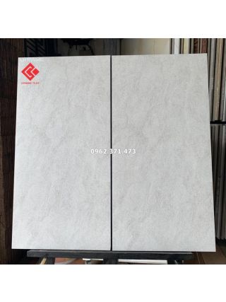 Gạch ốp nhà xe 300x600 Eurotile viglacera