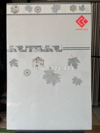 Gạch 30x60 viglacera ốp wc