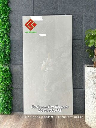 Gạch 60x120 Ấn Độ 62026