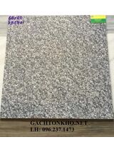 GẠCH BÓNG KIẾN 60x60 KIM SA KR6801