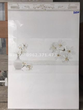 Gạch ốp phòng khách bóng kiếng 30x60 Apodio