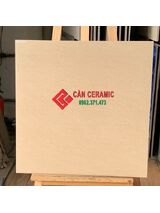 Gạch lát nền nhám mờ 60x60 viglacera màu vàng đậm 603