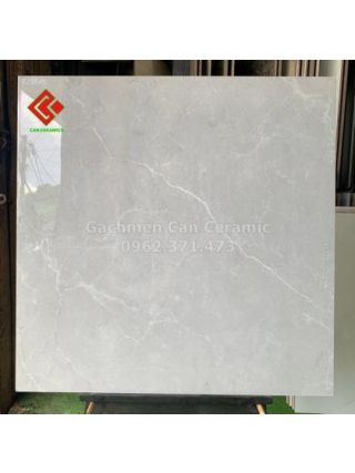 Gạch 80x80 Prime màu xám bóng kính 729RA2