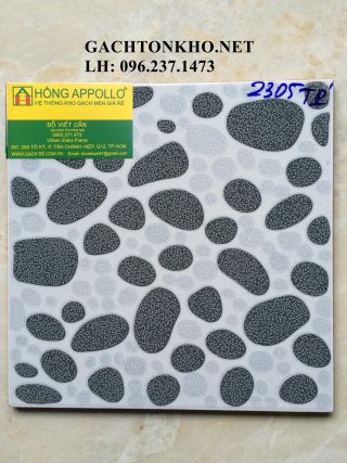 Gạch nhà tắm 25x25 2305