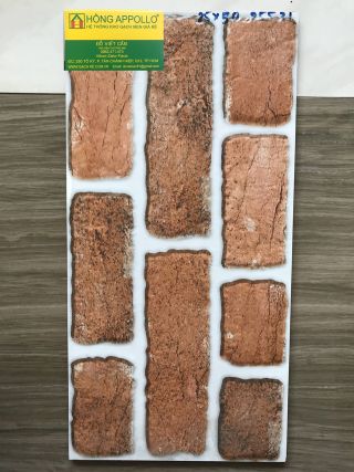 Gạch ốp tường trang trí 25x50 3D cao cấp 25531