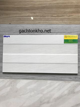 Gạch ốp tường 30x60 7404