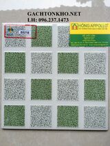 Gạch nhà tắm 25x25 S5218