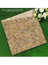 Gạch giả đá 60x60 vân hoa cương bóng kiếng