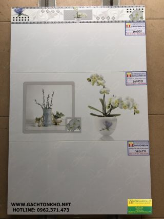 Gạch Ốp Tường 30x60 giá rẻ tồn kho GTK36025