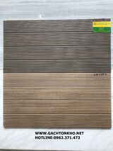Gạch Ốp Lát 30x60 viglacera nhám mờ GW3650