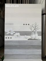 Gạch ốp phòng khách BNC 30x60 đẹp