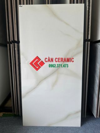 Gạch bóng kiếng 60x120 ấn độ vân đá ms1