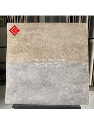 Gạch mờ 30x60 giả cổ ốp lát đẹp 3031EQ