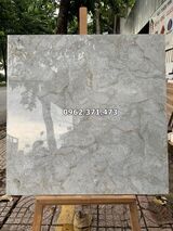 Gạch bóng kiếng 80x80 vicenza 8014