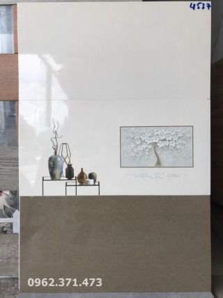 Gạch dán tường đẹp 30x60 màu nâu đất