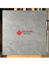Gạch lát nền nhám 60x60 Viglacera xám ghi 802