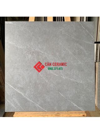Gạch lát nền nhám 60x60 Viglacera xám ghi 802
