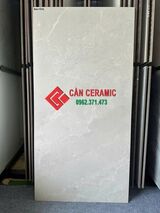 Gạch 60x120 mờ màu xám vân đá tự nhiên max47