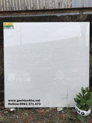 Gạch lát nền Catalan 80x80 vân đá 8020
