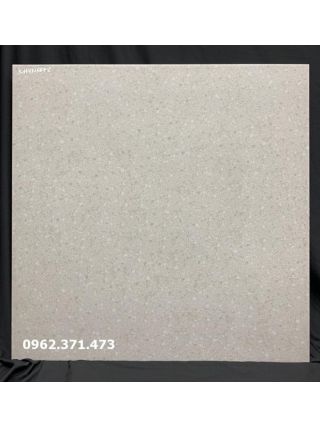 Gạch lát nền nhám mờ 60x60 6672