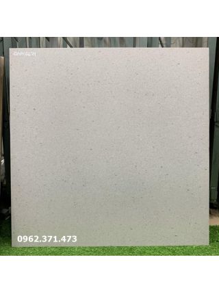 Gạch lát nền 60x60 nhám 6671