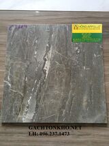 GẠCH NHÀ TẮM 30x30 C3604