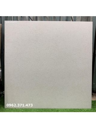 Gạch granite bóng mờ 60x60 6643